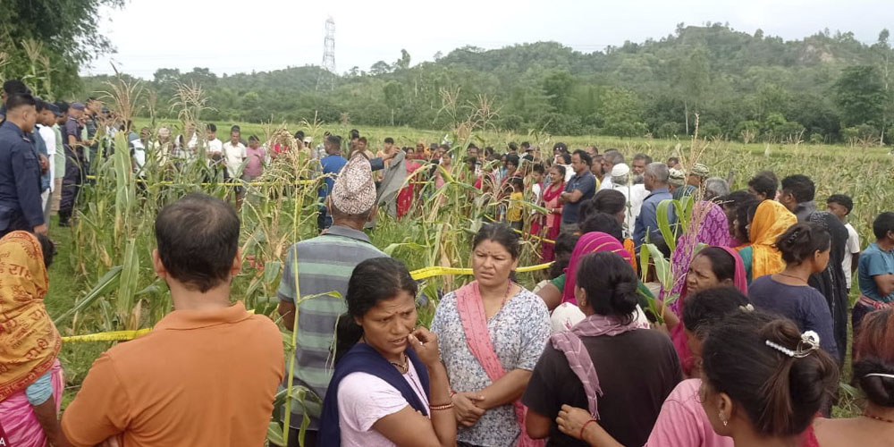 सप्तरीमा जङ्गली हात्तीको आक्रमणबाट एक जना मृत्यु