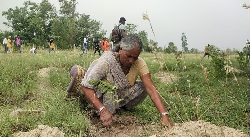 अतिक्रमित वन खाली गराएर वृक्षरोपण