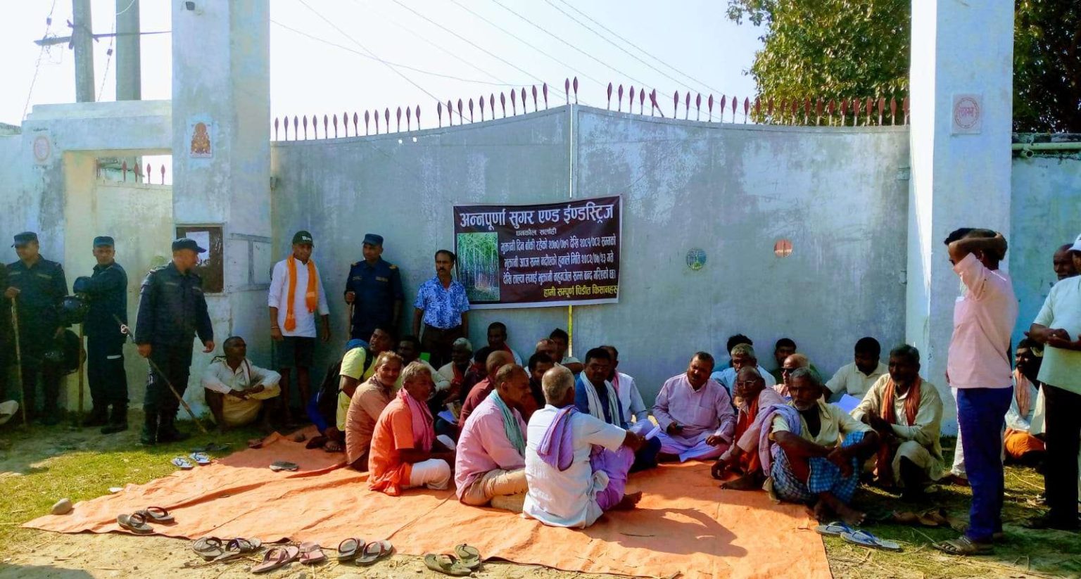 उखुको बक्यौता नपाएपछि किसानहरु फेरि धर्नामा