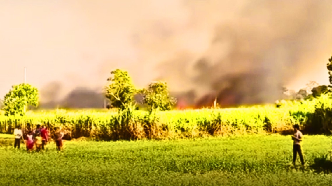 सर्लाहीको उखु खेतीमा भीषण आगलागी (तस्वीरहरु)