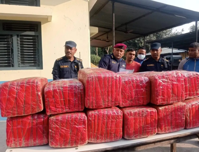पिकअपमा परालभित्र लुकाएर तस्करी गर्न लागिएको गाँजा र चालक वीरगन्जबाट पक्राउ