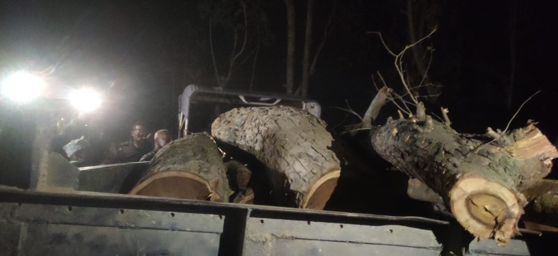 अबैध सिसोको काठ सहित ट्रेकटर पक्राउ 