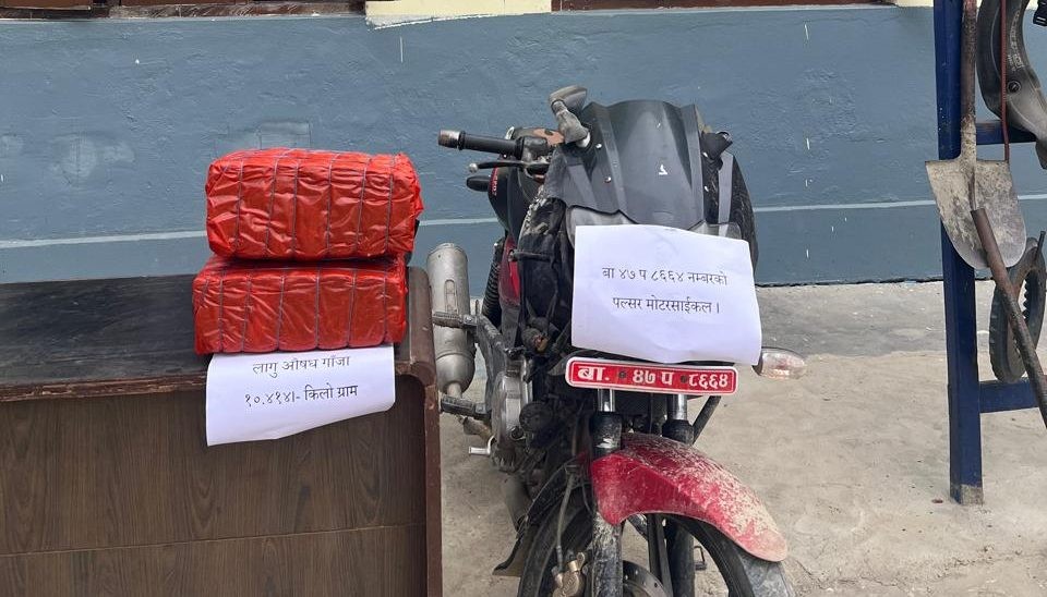 सर्लाहीमा १० किलो गाँजासहित युवक पक्राउ