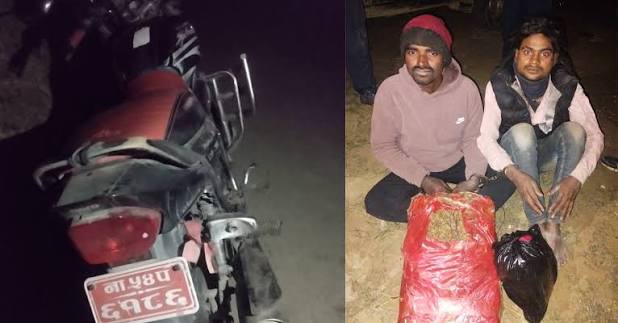 लागुऔषध गाँजासहित दुई व्यक्ति र मोटरसाइकल नियन्त्रणमा