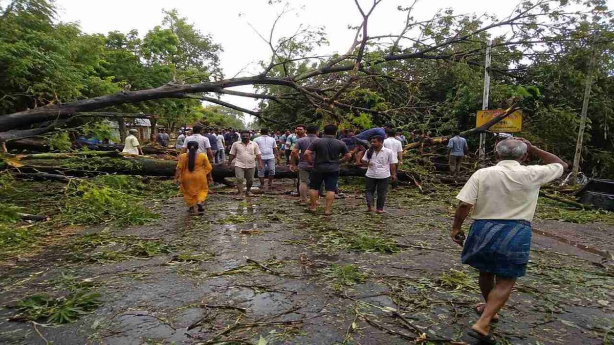 भारतको उत्तर प्रदेशमा शक्तिशाली आँधीका कारण ५६ जनाको ज्यान गयो