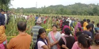 सप्तरीमा जङ्गली हात्तीको आक्रमणबाट एक जना मृत्यु