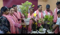 "हरियालीका लागि लायन्स क्लबको योगदान : पत्रकार महासंघलाई २० थान गमला हस्तान्तरण"