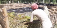 सप्तरीमा प्राङ्गरिक मल उत्पादन सुरु