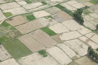 मधेशको समस्यामा सहयोग गर्न सङ्घसंस्थालाई समाज कल्याण परिषद्को आह्वान