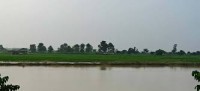 बबईले घेरिएको गाउँमा रातदिन त्रास