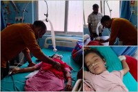 पर्सा–बारामा बढ्यो सर्पदंश, नारायणी अस्पतालमा चार जनाको उपचार