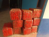 पर्साकाे मलाही टाेलमा प्रहरीद्वारा हवाई फायर गरी गाँजासहित ३ जना पक्राउ