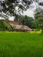 लगातारको हावाहुरी र अविरल वर्षाका कारण पर्साको जिराभवानीमा घर क्षति,  मिर्दाहा बिस्थापित
