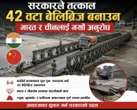 बाढीले भत्काएका पुल पुनः सञ्चालन गर्न सरकारको पहल, ४२ बेलिब्रिजका लागि भारत र चीनसँग सहयोग माग
