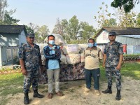 सुनसरीबाट १ सय ७७ किलो गाँजासहित दुई जना पक्राउ