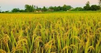 अन्नभण्डार मधेश प्रदेश