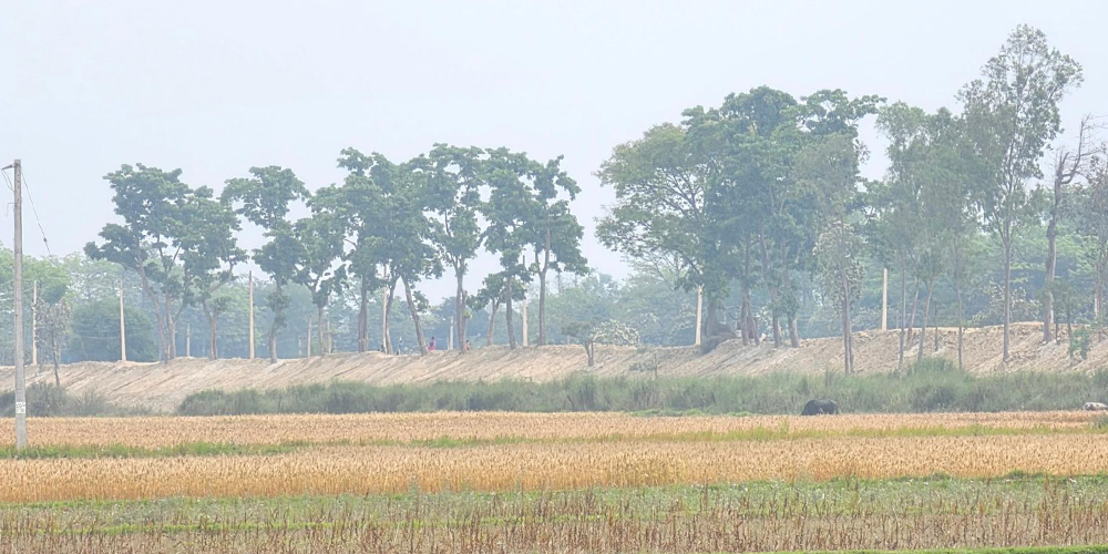 सीमा क्षेत्रको बाँध अग्लो बनाउँदा, गौर डुबानको जोखिममा