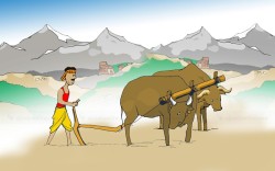 ३ वर्षभित्र सबै किसानलाई किसान परिचयपत्र दिने सरकारको तयारी