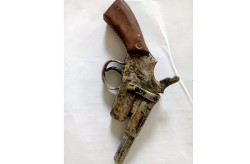 सर्लाहीमा पेस्तोलसहित दुई युवक पक्राउ