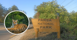 चितवन–पर्सा कम्प्लेक्समा एक हजारभन्दा बढी जनशक्ति खटिँदै