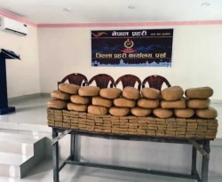 वीरगन्जमा २ सय ४० केजी चरेससहित दुई जना पक्राउ