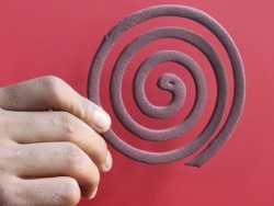 लामखुट्टे भगाउने अगरबत्तीको धुवाँ : एक प्याकेट चुरोट बराबरको खतरा !