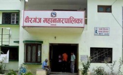 वीरगंज महानगरद्वारा कक्षा ९ र ११ का लागि छात्रवृत्ति आवेदन खुला