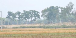 सीमा क्षेत्रको बाँध अग्लो बनाउँदा, गौर डुबानको जोखिममा