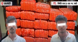 सर्लाहीबाट करिब १ सय ९ किलो गाँजासहित दुई भारतीय नागरिक पक्राउ