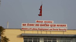 आवेदन दिएको दिनमै श्रम स्वीकृति दिने तयारी