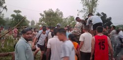 टेम्पुमाथि रुख ढल्दा दुई जनाको मृत्यु, तीन जना गम्भीर घाइते