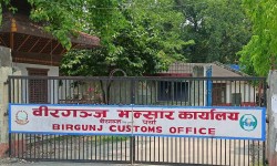 वीरगंज हुँदै ४० अर्बको सामान विदेश निर्यात