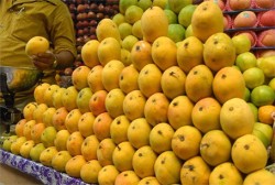 केमिकल हालेको आँप हो कि होइन?घरेलु तरिकाले चिन्नुहोस्