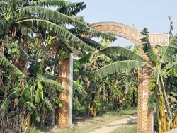 लोकप्रिय बन्दै केराका परिकार रौतहटमा तीन वटा ‘बनाना रिसोर्ट’