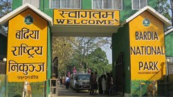 बर्दिया राष्ट्रिय निकुञ्जमा पाँचजना युवक बेपत्ता