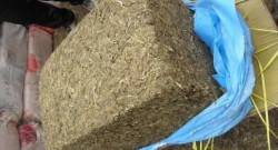 पर्साको जगरनाथपुरबाट दुई सय १३ केजी गाँजा बरामद, ट्याक्टर चालक फरार