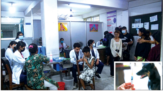 मधेशमा पनि रेबिज खोप अभाव : सरकारी स्वास्थ्य संस्थामा खोपको नियमित आपूर्ति नहुँदा विपन्न बिरामी थप मारमा