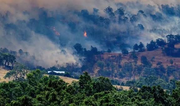 अस्ट्रेलियामा डढेलोमा परी १ जनाको मृत्यु, ३०० बढी घर जले