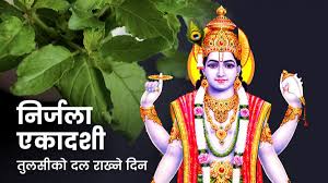 ज्येष्ठ शुक्ल एकादशीः घरका मठमा तुलसीको दल राखिँदै