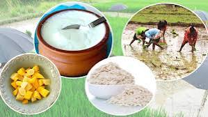 आज असार १५ : धान दिवस र दही चिउराको सांस्कृतिक पर्व मनाइँदै