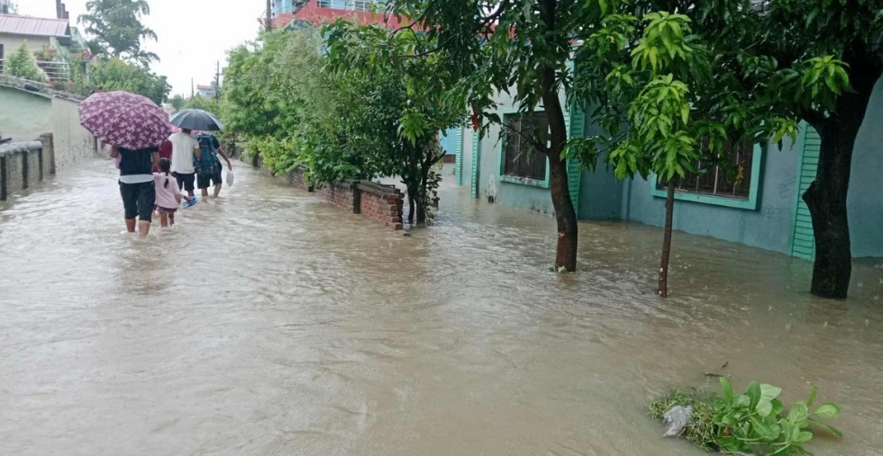 धनगढीमा भारी वर्षा, घरहरू डुबानमा