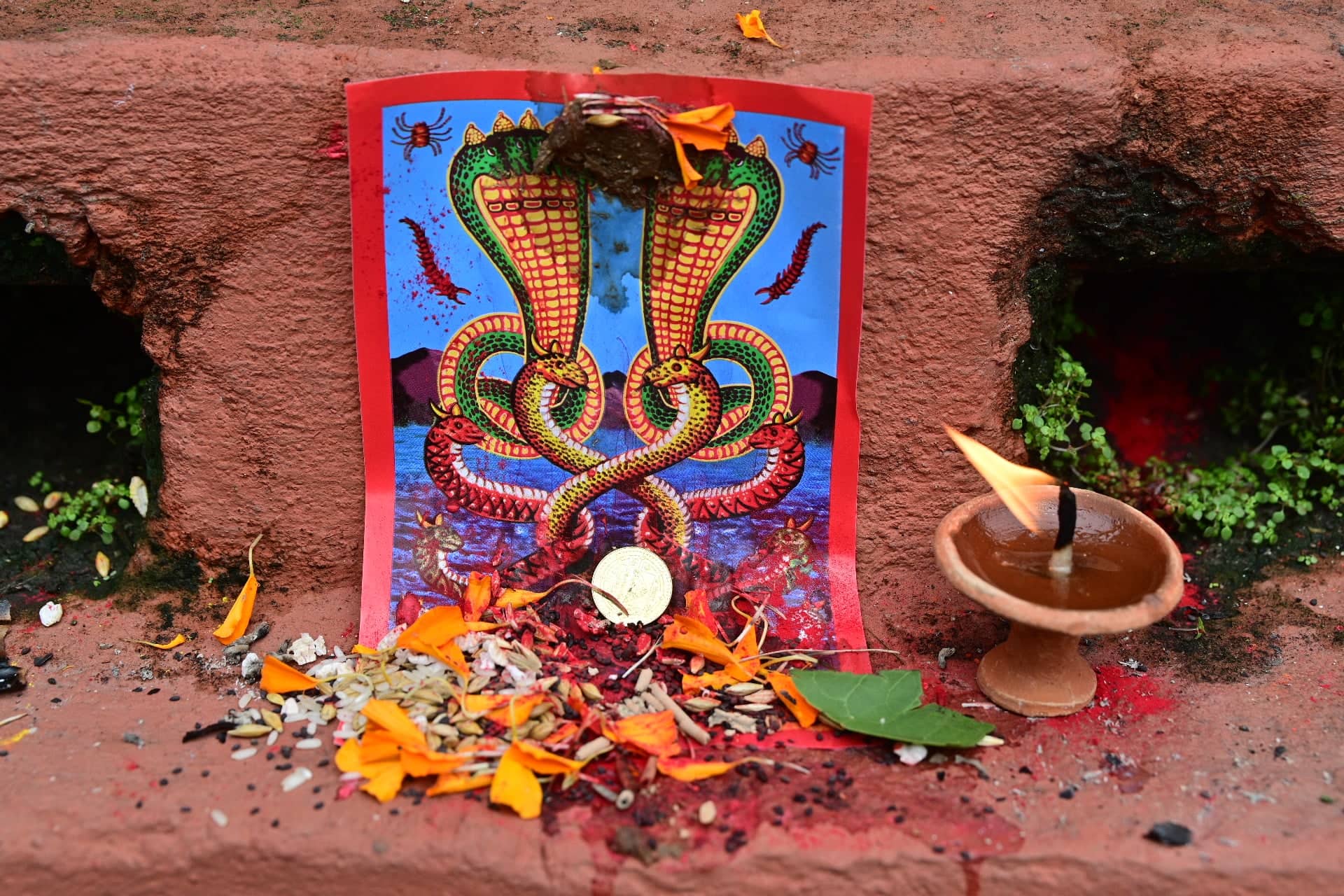 आज नागपञ्चमी पर्व मनाइँदै