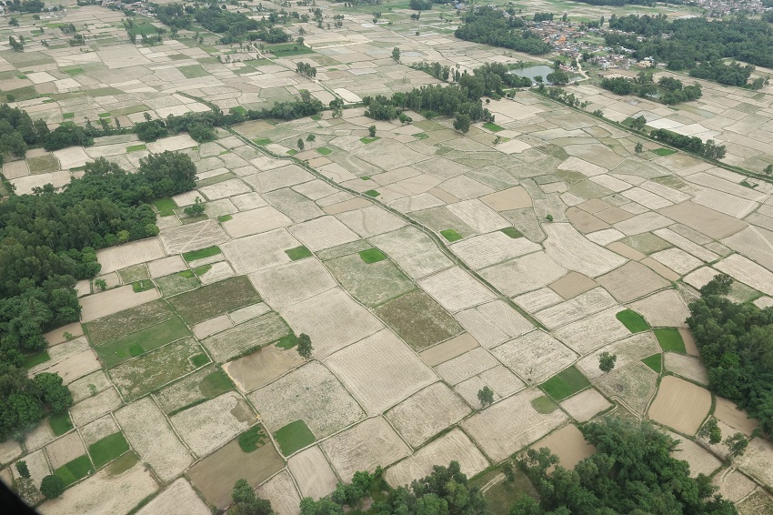 मधेशमा कृषि बाली नै परिवर्तन गर्ने अवस्था आएको विज्ञको भनाइ