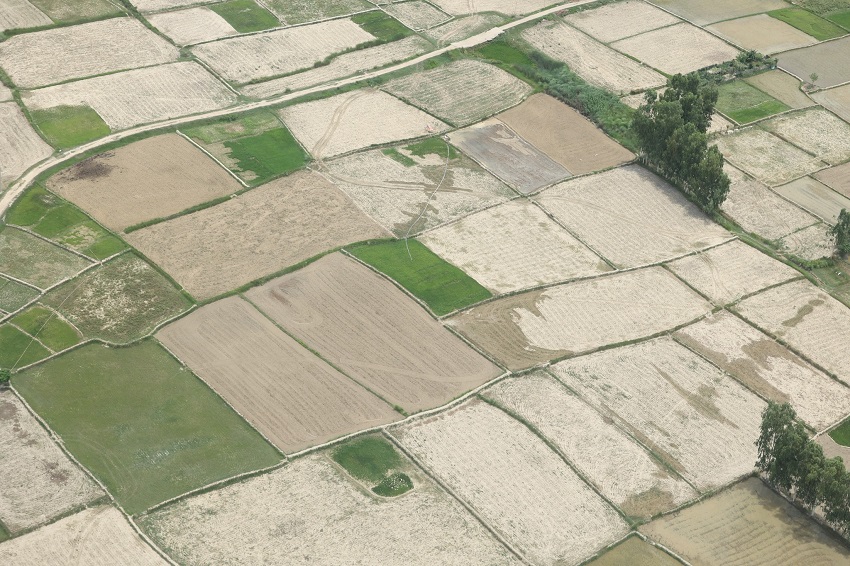 मधेशको समस्यामा सहयोग गर्न सङ्घसंस्थालाई समाज कल्याण परिषद्को आह्वान