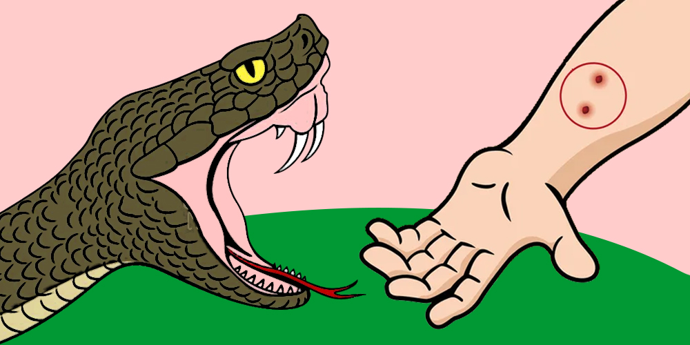सप्तरीमा सर्पदंशबाट महिलाको मृत्यु