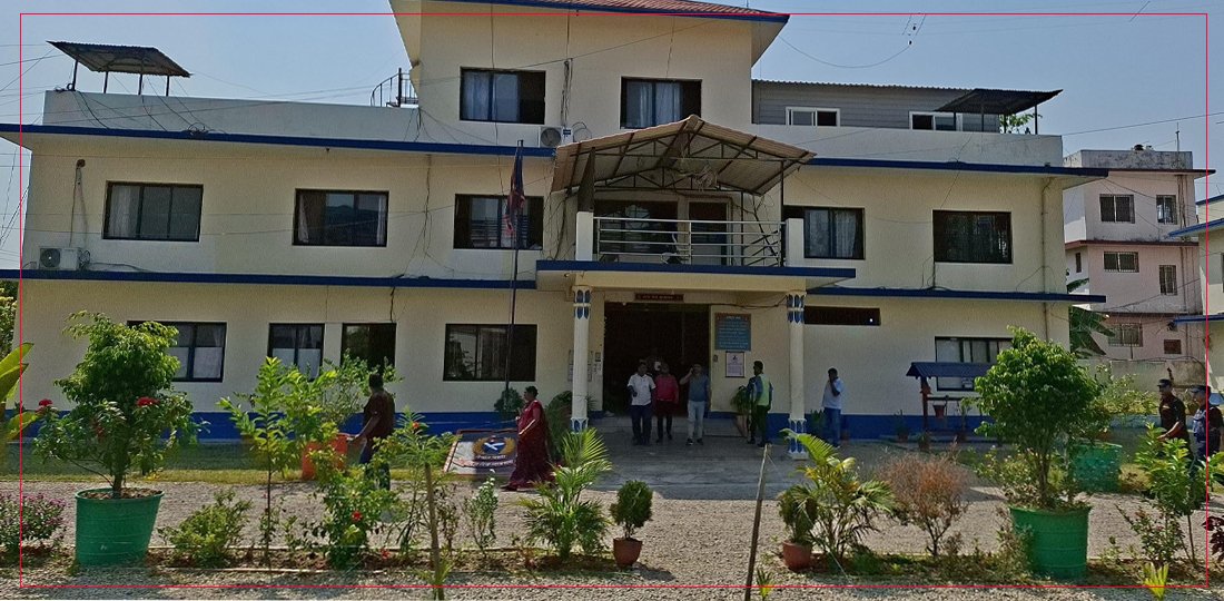 जेनजी आन्दोलनपछि ट्राफिक उल्लङ्घन बढ्यो