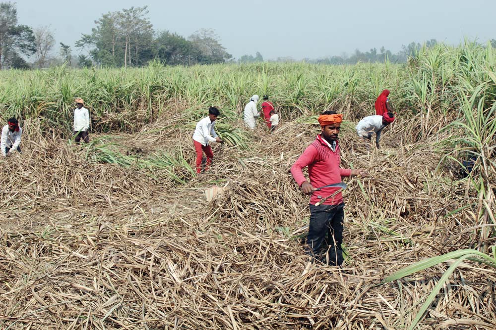 उखु किसानको आन्दोलन रोकियो
