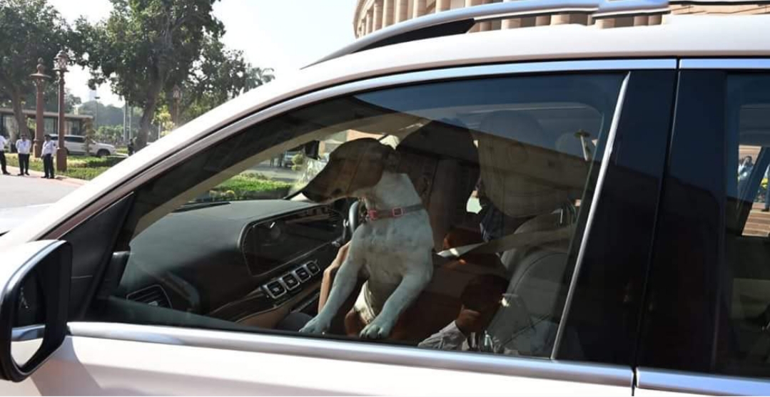 एक कुकुर, जो बनिरहेको छ भारतको संसदमा विवादको कारण