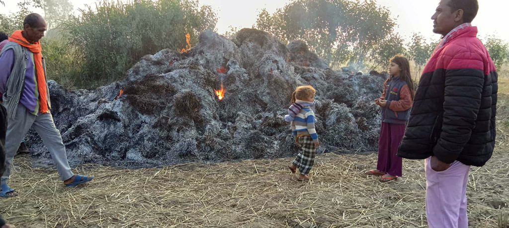 महोत्तरीमा १२ कठ्ठा खेतको धानमा आगजनी