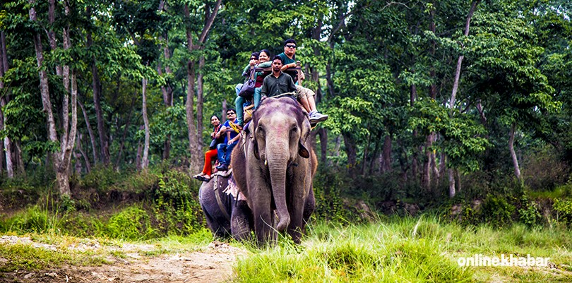 सौराहामा हात्ती सफारीको विकल्प खोजिँदै